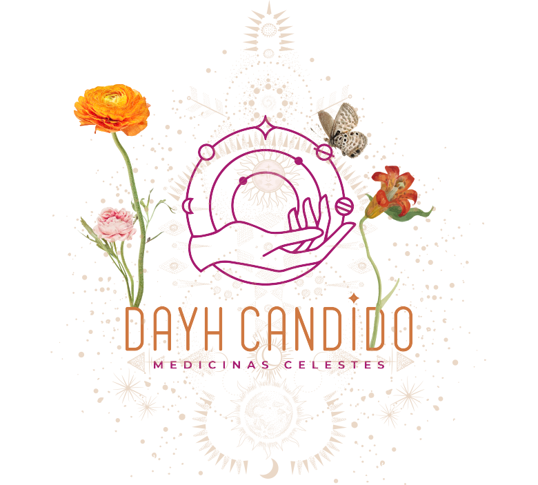 https://dayhcandido.com.br/wp-content/uploads/2024/08/Logo.png